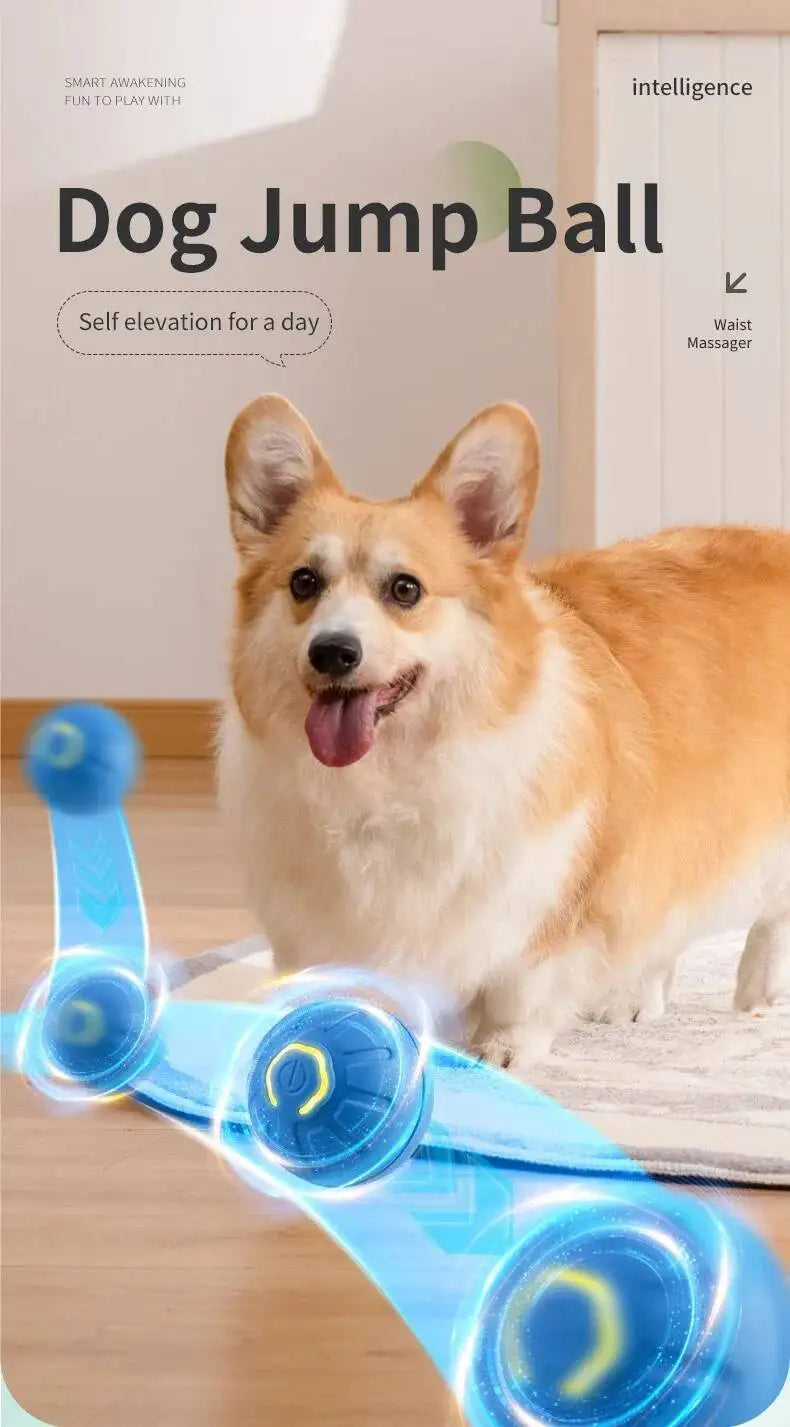 Smart Dog Toy Ball USB Rechargeable Auto Moving for Dogs & Cats