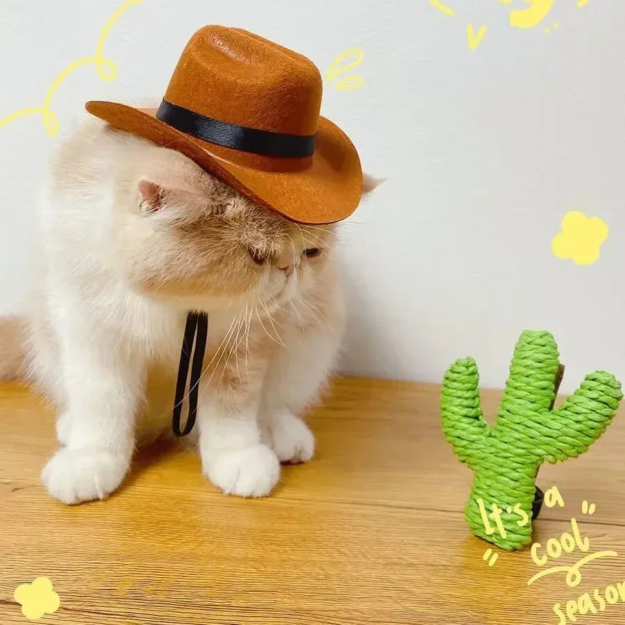 Western Cowboy Pet Hat