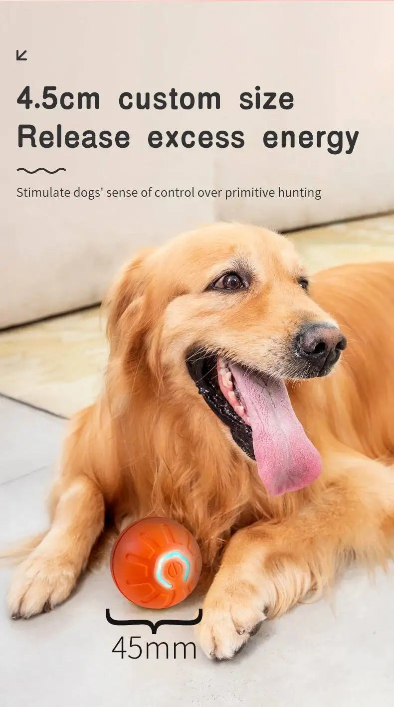 Smart Dog Toy Ball USB Rechargeable Auto Moving for Dogs & Cats