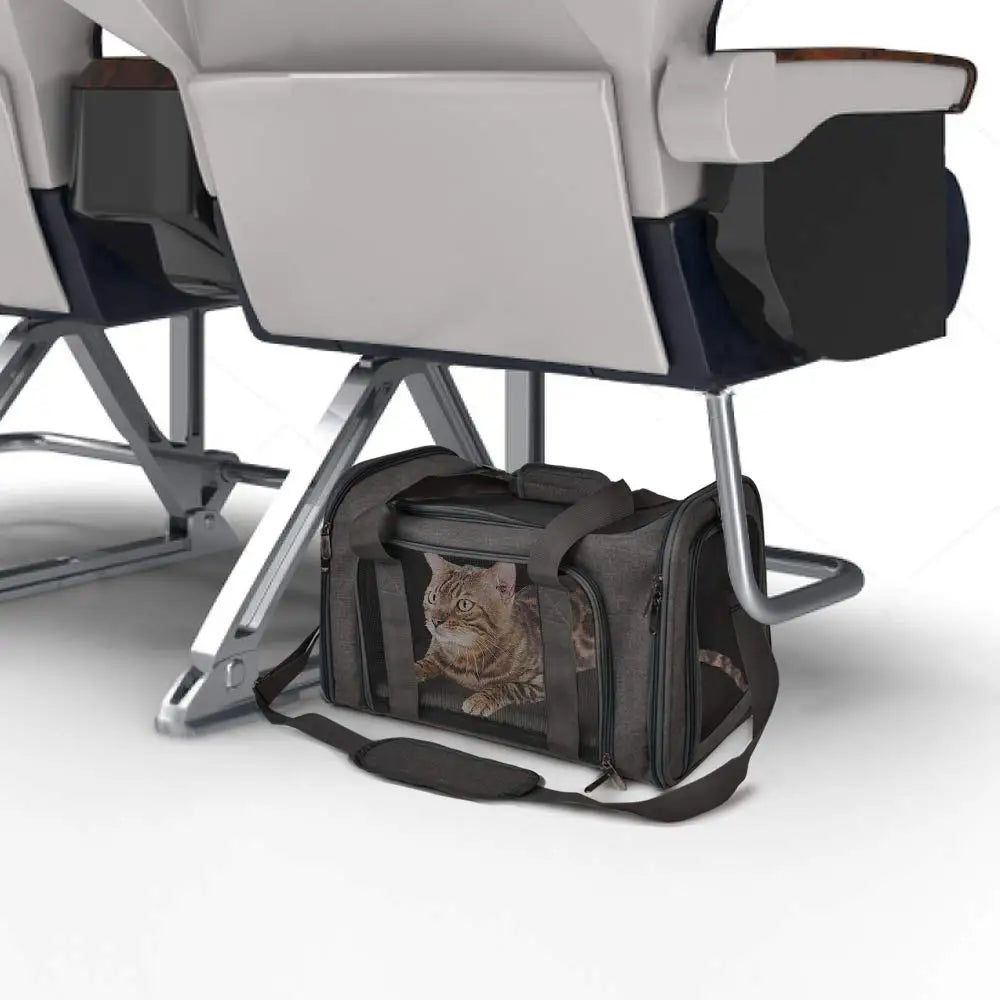 Airline Approved Soft Side Pet Carrier