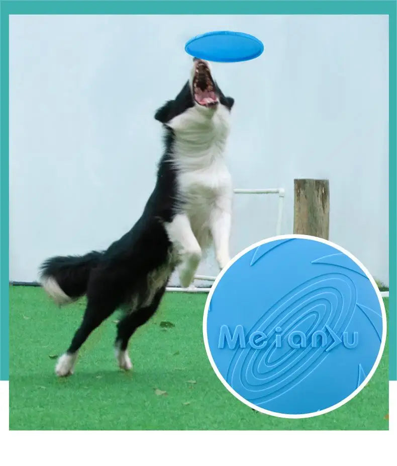 Bite Resistant Dog Flying Disc Toy