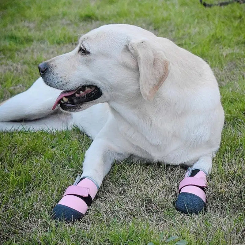 X7XD 4pack Protective Dog Shoes Versatiles Pet Sneakers Breathable Dog Footwear