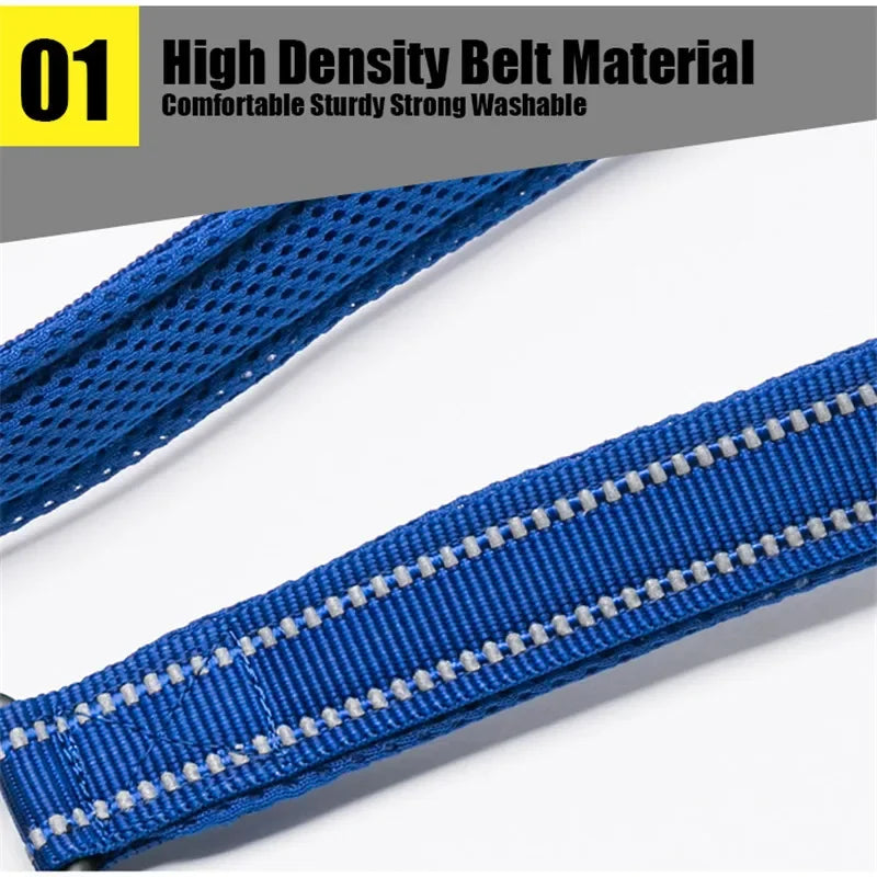 Reflective Dog Leash — Nylon Webbing with Zinc Alloy Hook for Small & Large Dogs