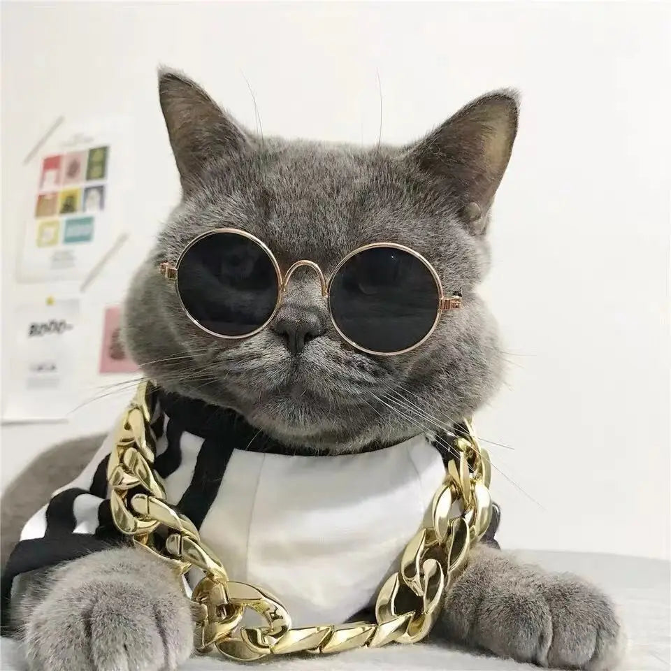 Vintage Round Cat & Dog Sunglasses — Cute Pet Photo Prop Accessories