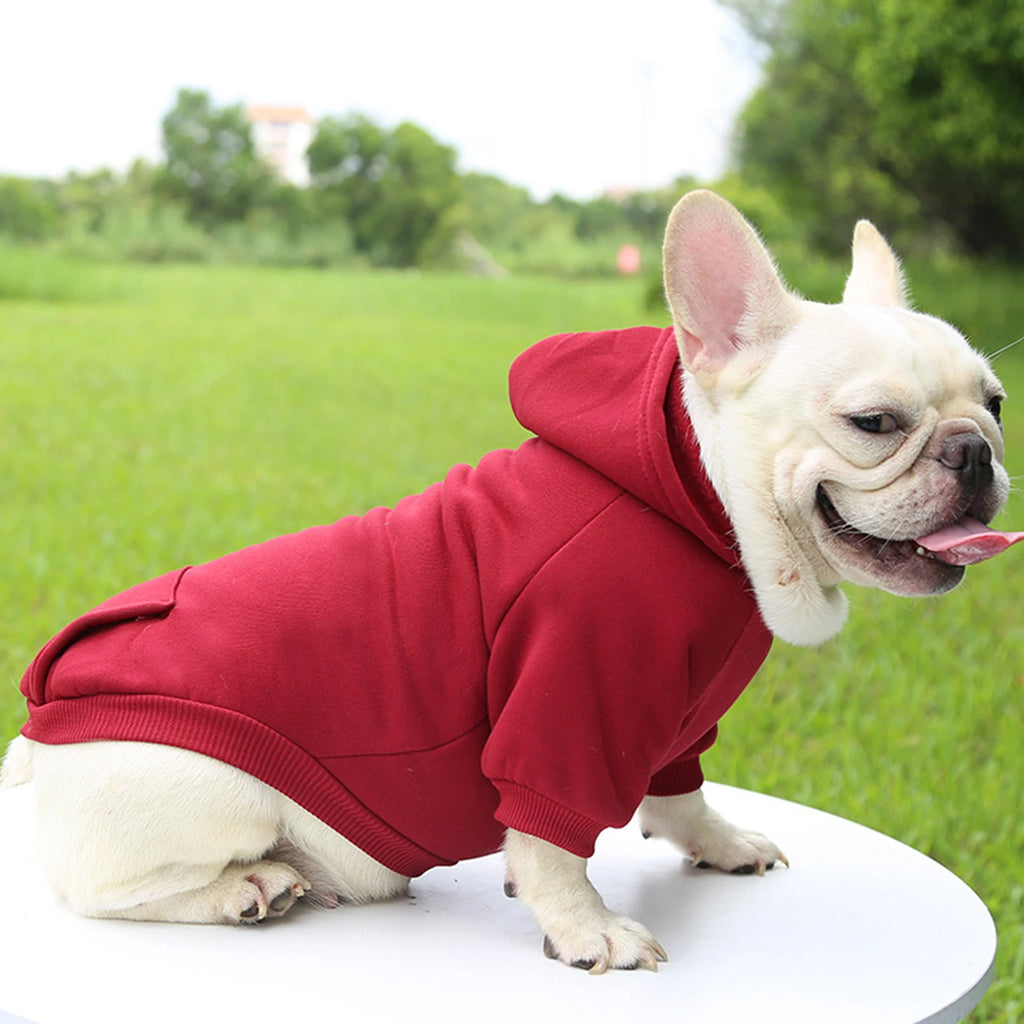 Warm Hooded Pet Sweater