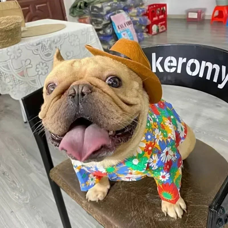 Western Cowboy Pet Hat