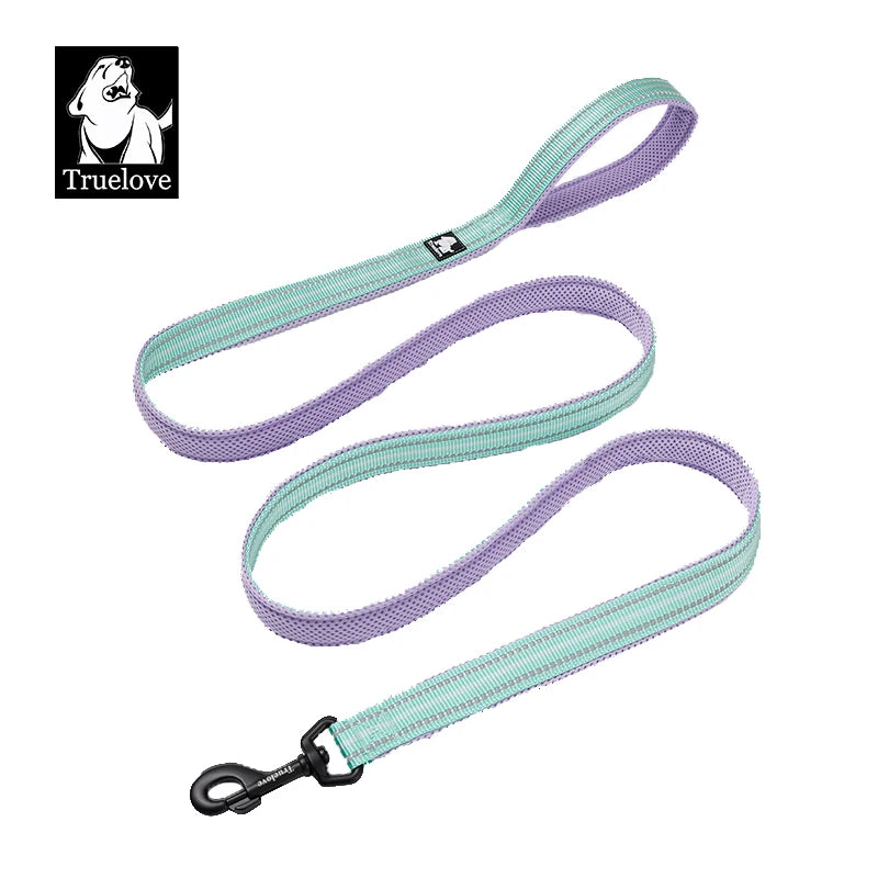 Reflective Dog Leash — Nylon Webbing with Zinc Alloy Hook for Small & Large Dogs