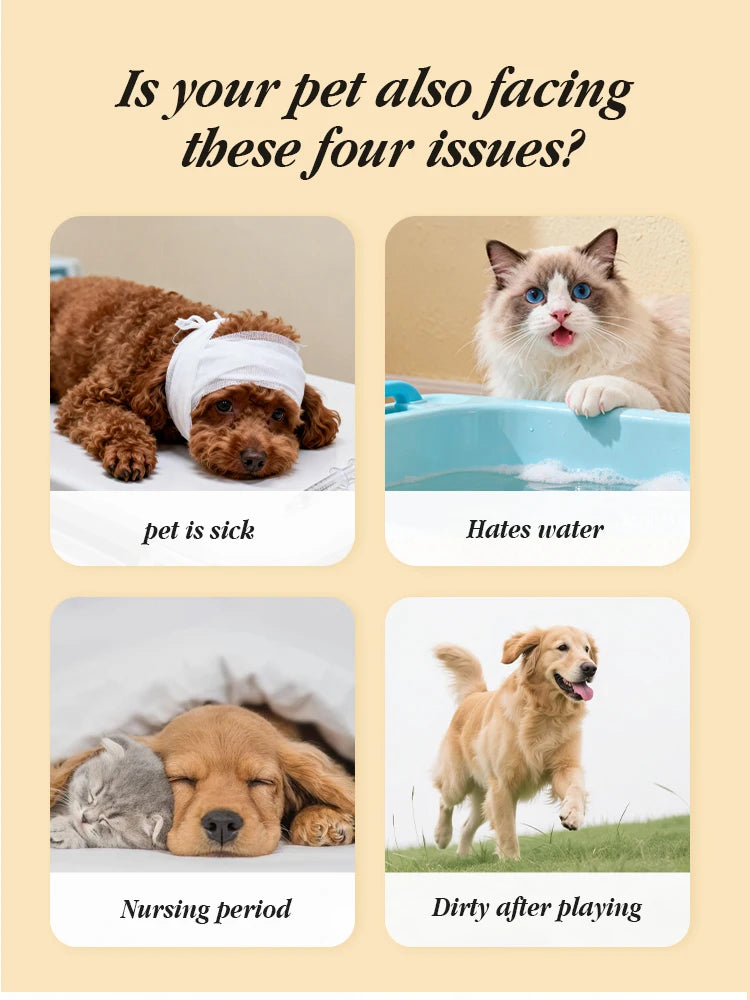 6 Pcs Pet Wipe Drip Molded Side Cat Dog Disposable Glove Cleaner Towels Bathing Cleaning Dry Cleaning Wipes Gloves
