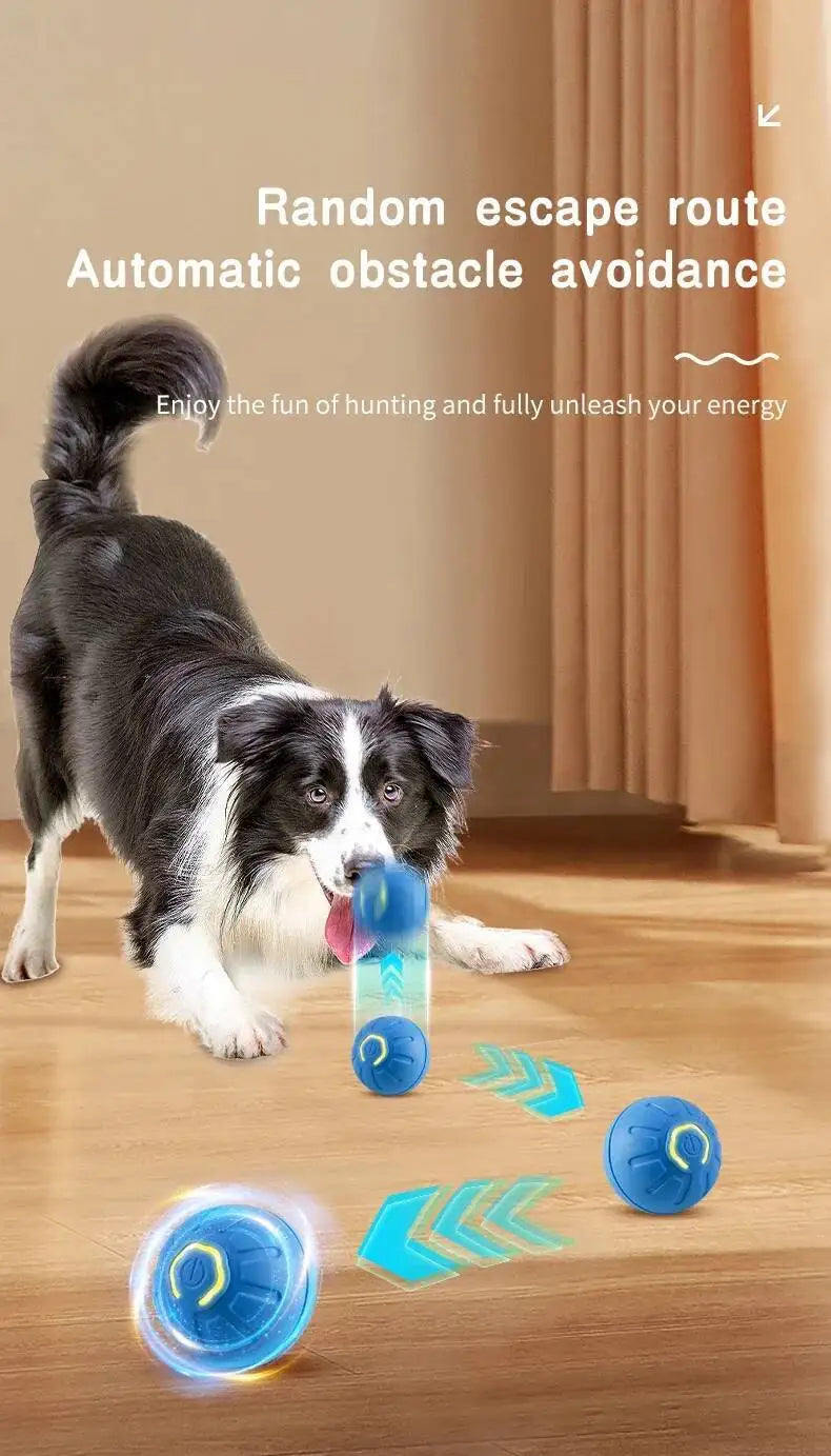 Smart Dog Toy Ball USB Rechargeable Auto Moving for Dogs & Cats