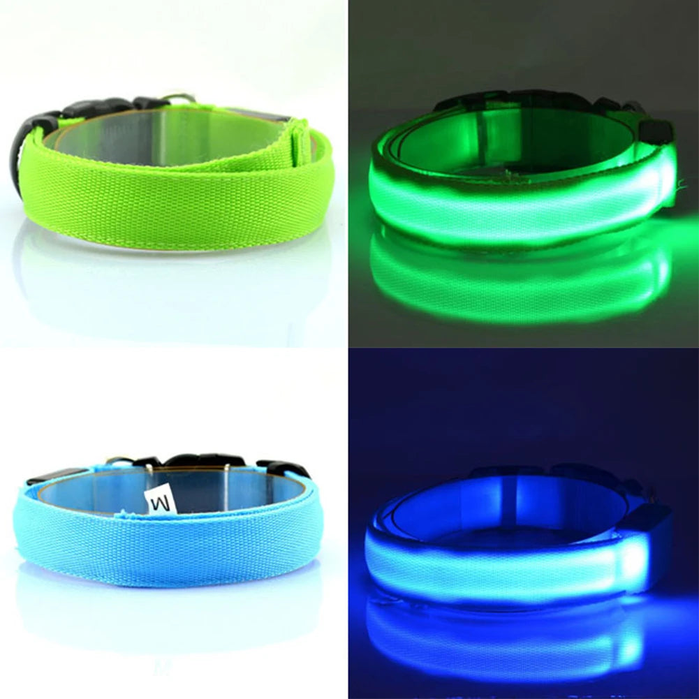 LED Glow Dog Collar — Anti-Lost Night Safety Collar for Small Dogs & Cats