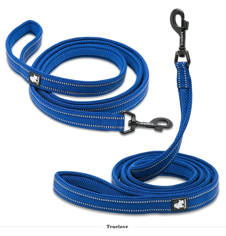 Reflective Dog Leash — Nylon Webbing with Zinc Alloy Hook for Small & Large Dogs