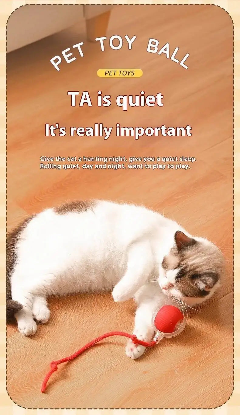 Smart Dog Toy Ball USB Rechargeable Auto Moving for Dogs & Cats