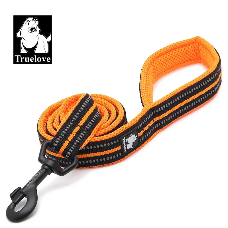 Reflective Dog Leash — Nylon Webbing with Zinc Alloy Hook for Small & Large Dogs