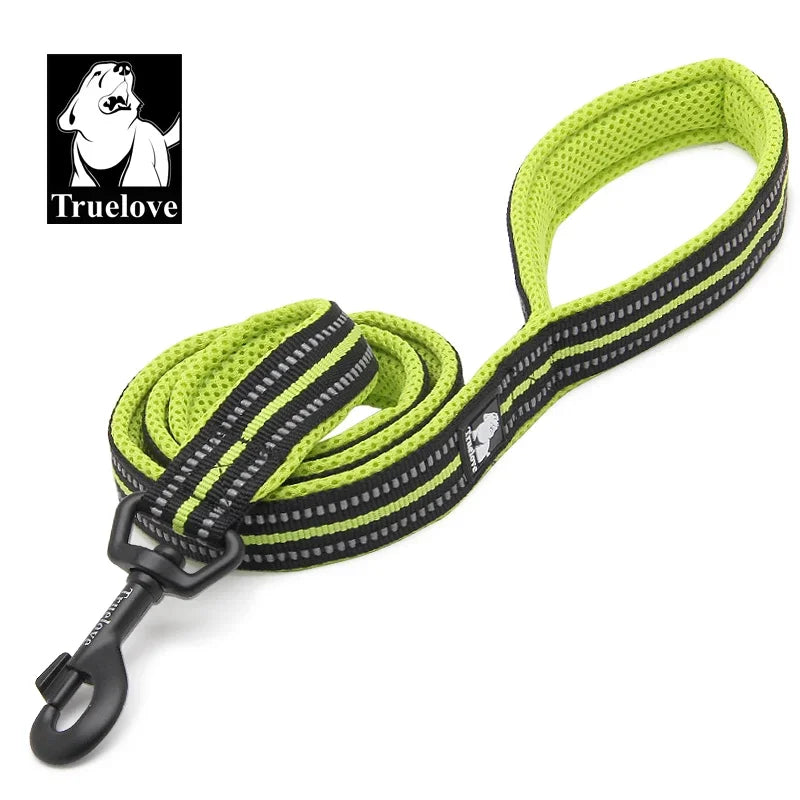 Reflective Dog Leash — Nylon Webbing with Zinc Alloy Hook for Small & Large Dogs