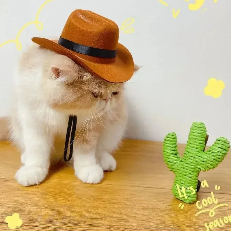 Western Cowboy Pet Hat