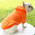 Warm Hooded Pet Sweater