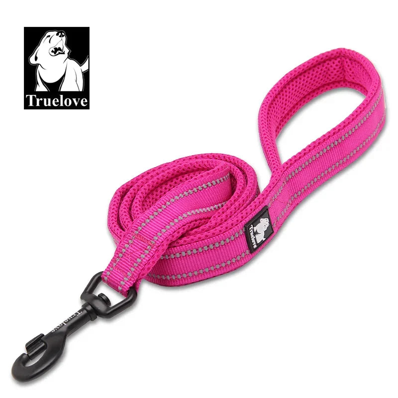 Reflective Dog Leash — Nylon Webbing with Zinc Alloy Hook for Small & Large Dogs