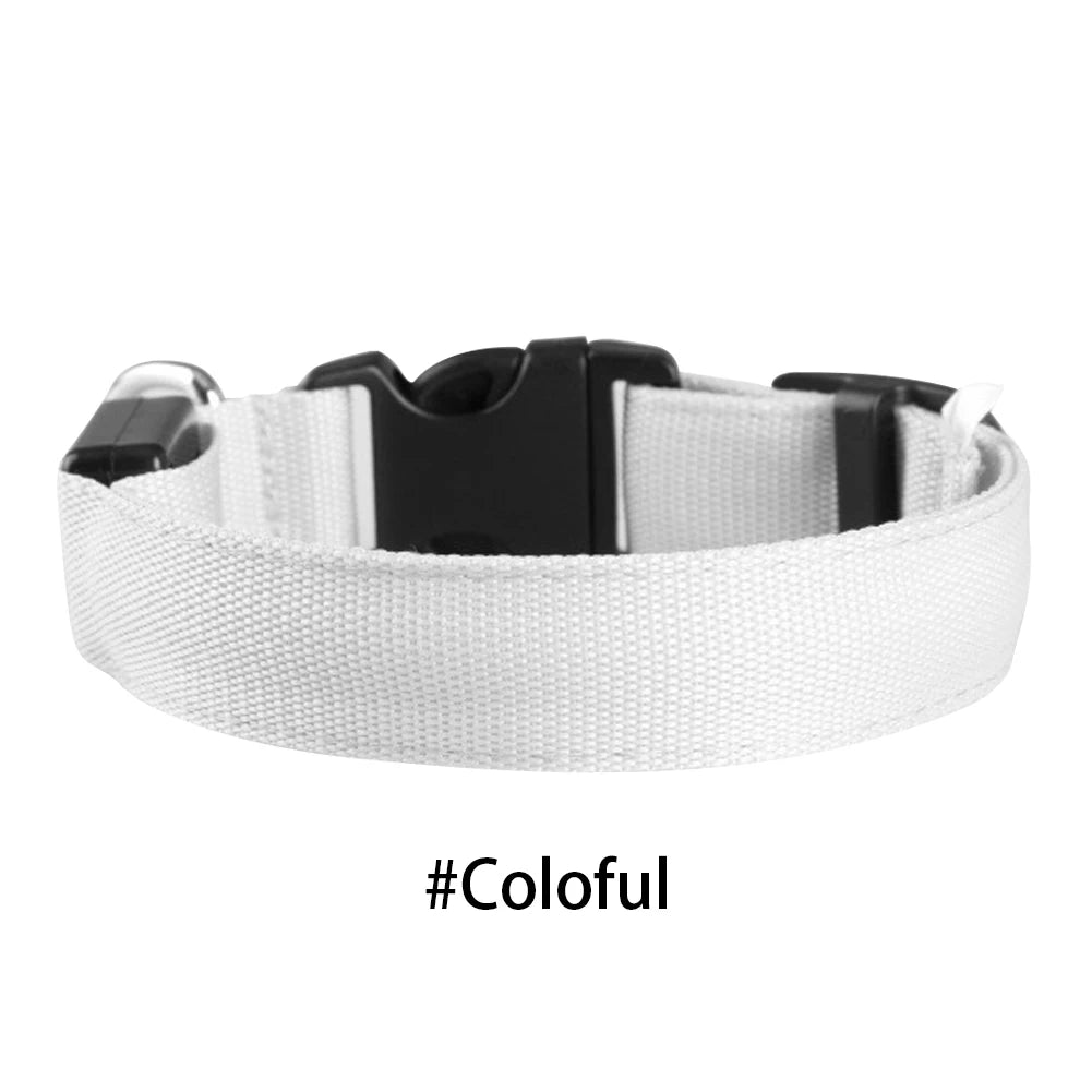 LED Glow Dog Collar — Anti-Lost Night Safety Collar for Small Dogs & Cats