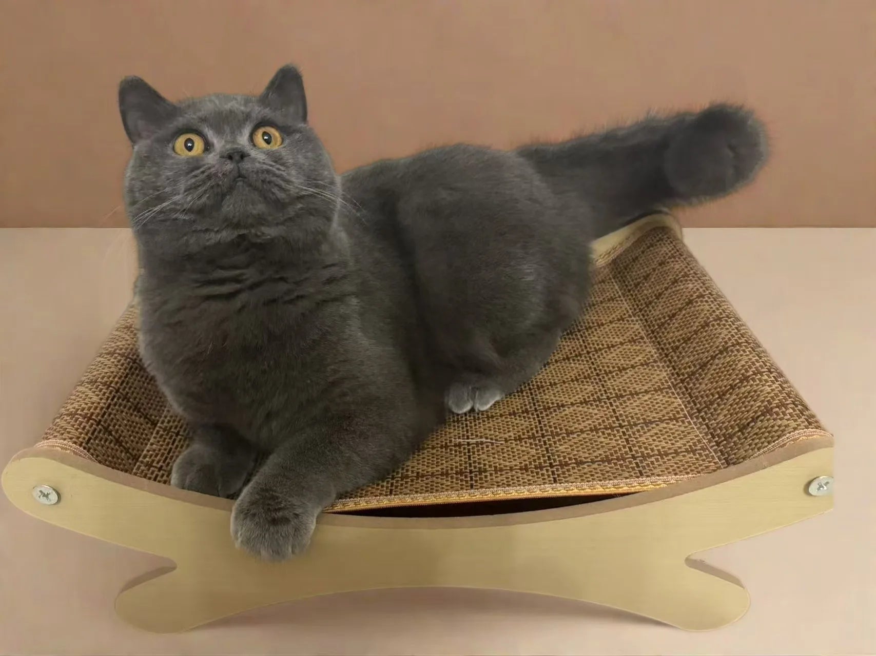 2-in-1 Summer Pet Sofa & Rattan Cooling Mat for Cats & Dogs