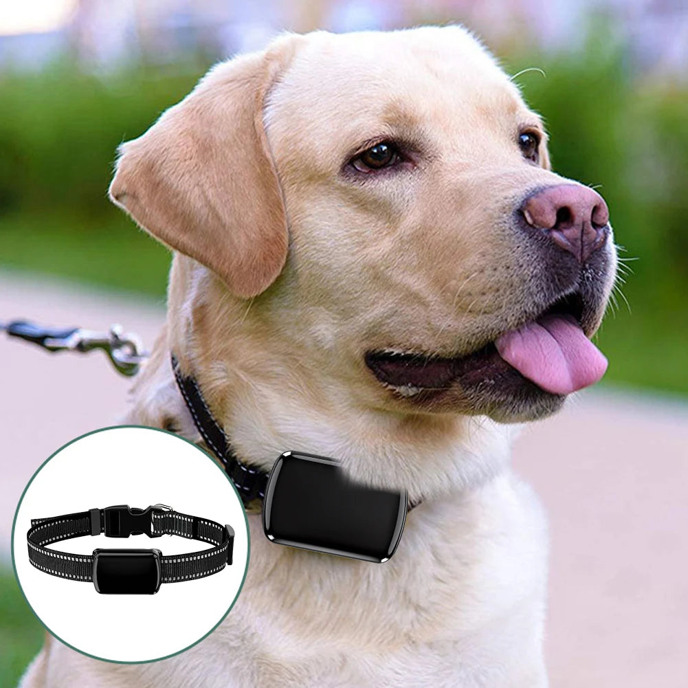 Pet GPS Tracker with Adjustable Collar Smart Pet Locator Cat Tracker for Dogs and Cats