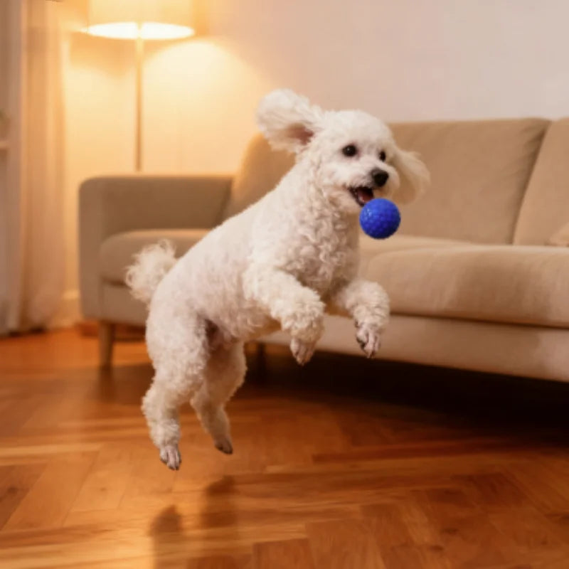 Bite-Resistant Honeycomb Dog Toy Ball — Natural Rubber Teething & Teeth Cleaning