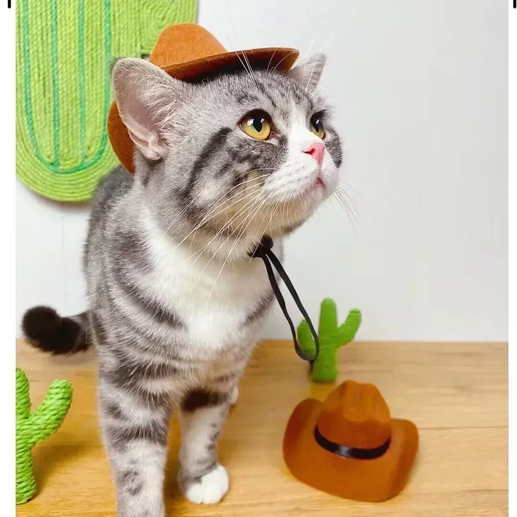 Western Cowboy Pet Hat