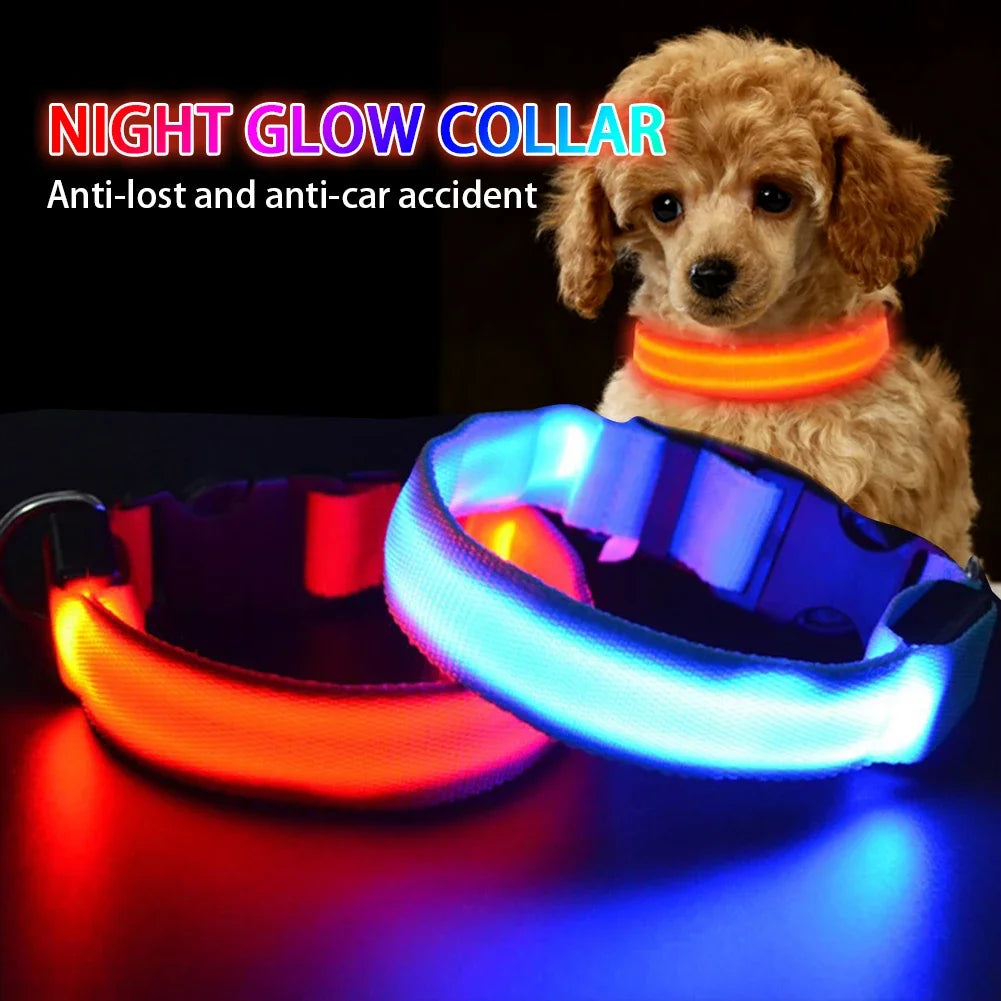 LED Glow Dog Collar — Anti-Lost Night Safety Collar for Small Dogs & Cats