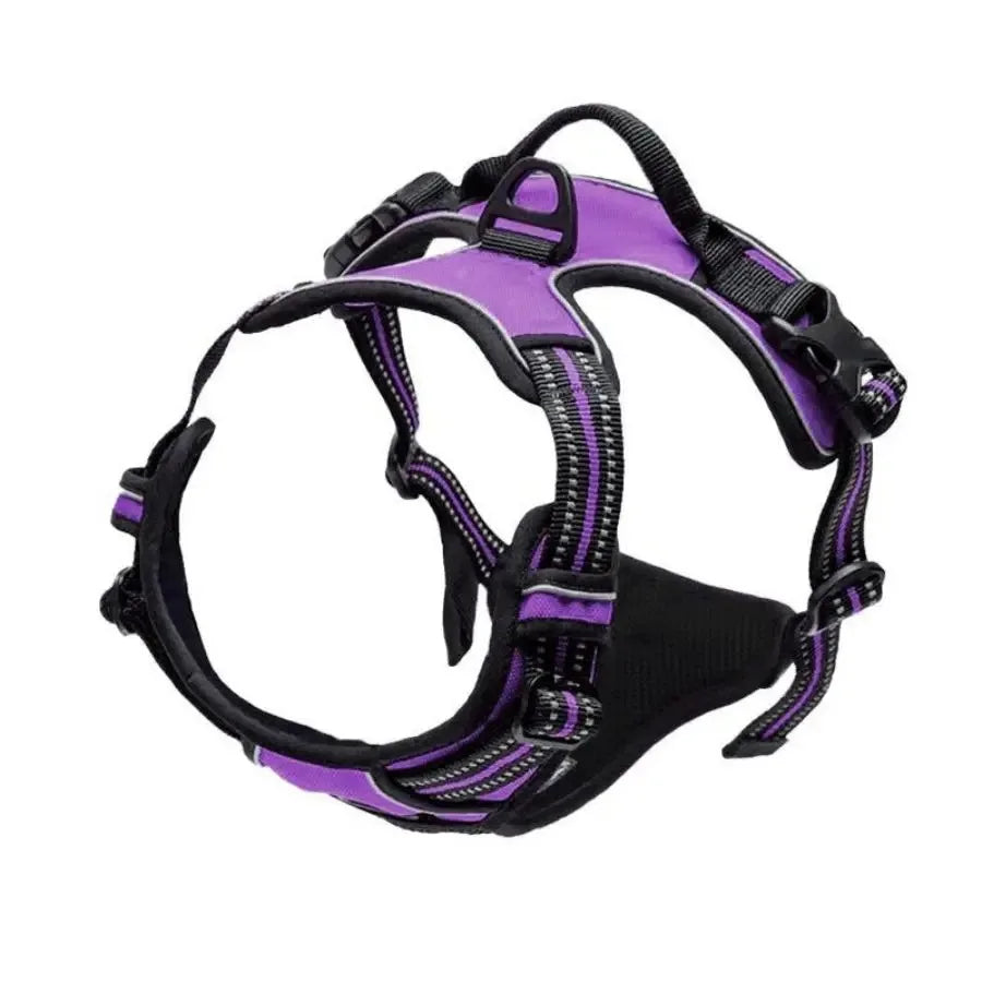 Dog Harness & Leash Set — Leather Vest for Small & Medium Dogs