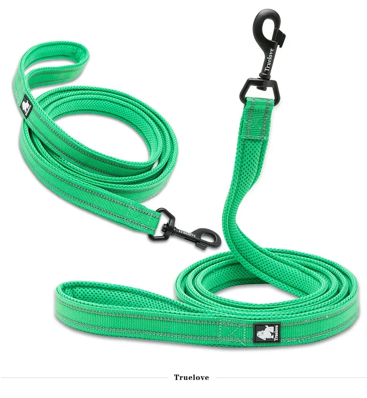 Reflective Dog Leash — Nylon Webbing with Zinc Alloy Hook for Small & Large Dogs