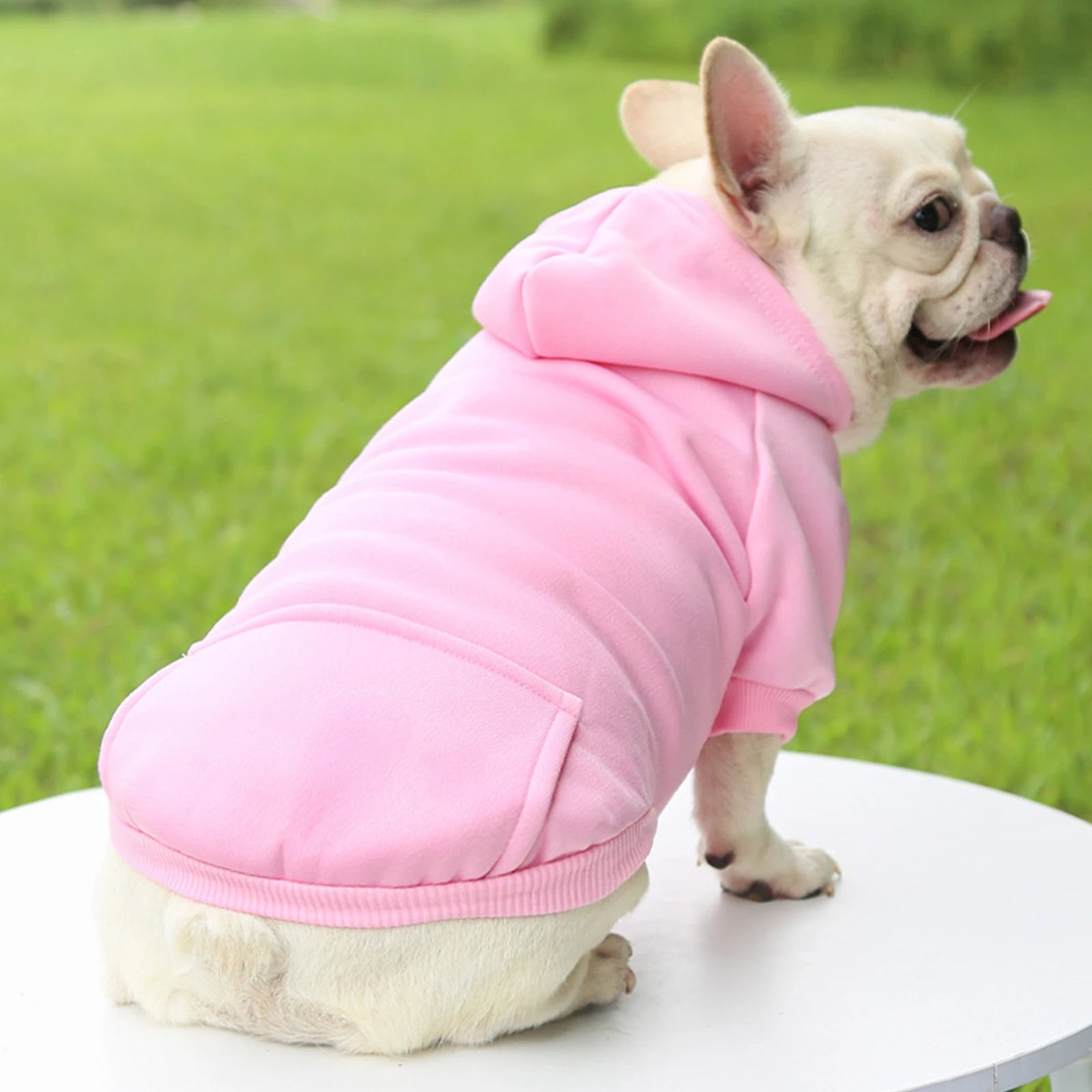 Warm Hooded Pet Sweater