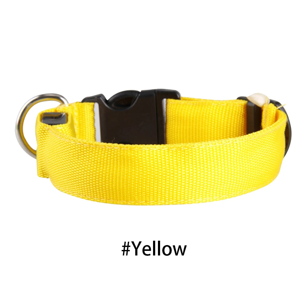 LED Glow Dog Collar — Anti-Lost Night Safety Collar for Small Dogs & Cats