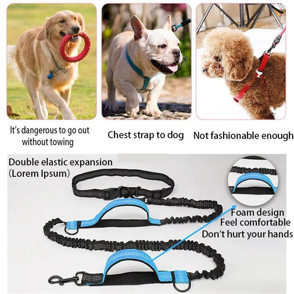 Hands-Free Dog Leash — Retractable Elastic Waist Belt for Running & Walking
