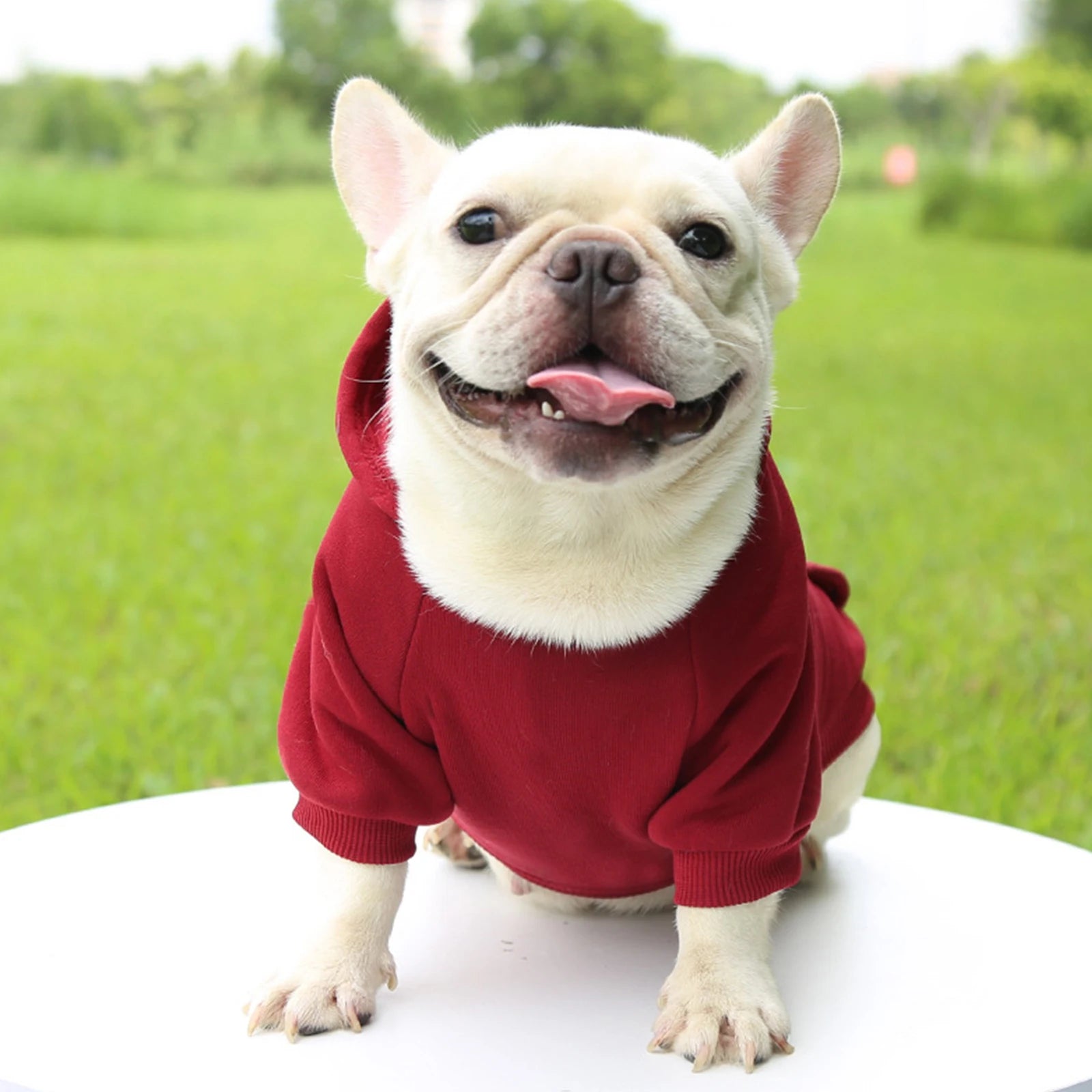 Warm Hooded Pet Sweater