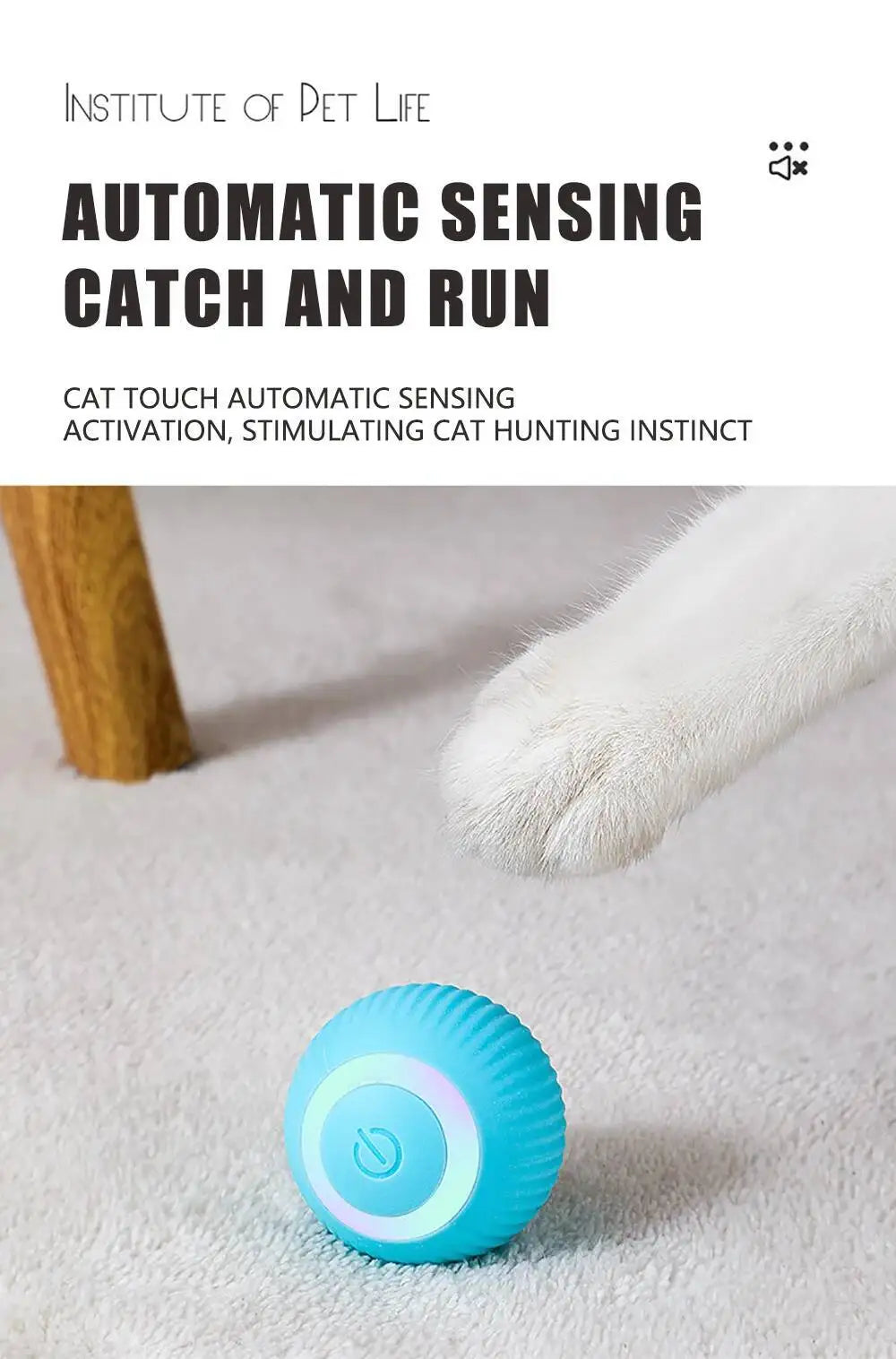 Smart Dog Toy Ball USB Rechargeable Auto Moving for Dogs & Cats