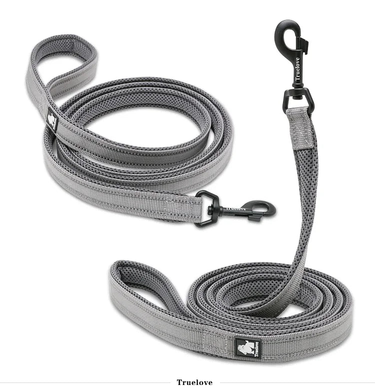 Reflective Dog Leash — Nylon Webbing with Zinc Alloy Hook for Small & Large Dogs