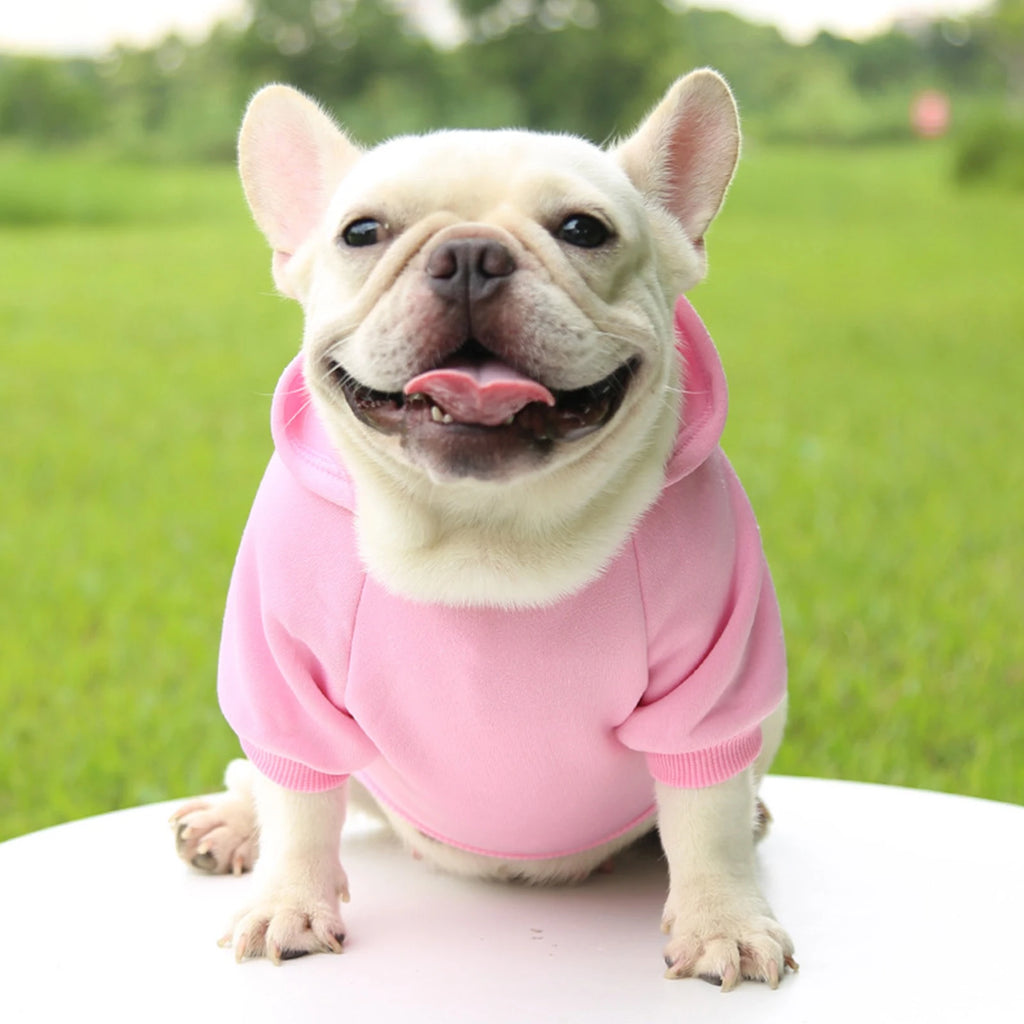 Warm Hooded Pet Sweater