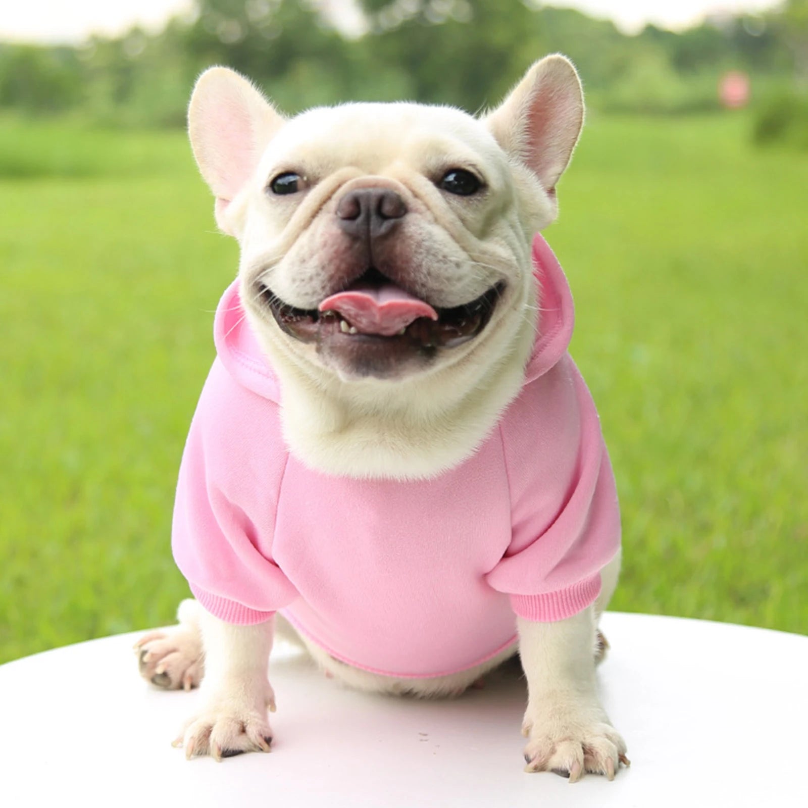 Warm Hooded Pet Sweater