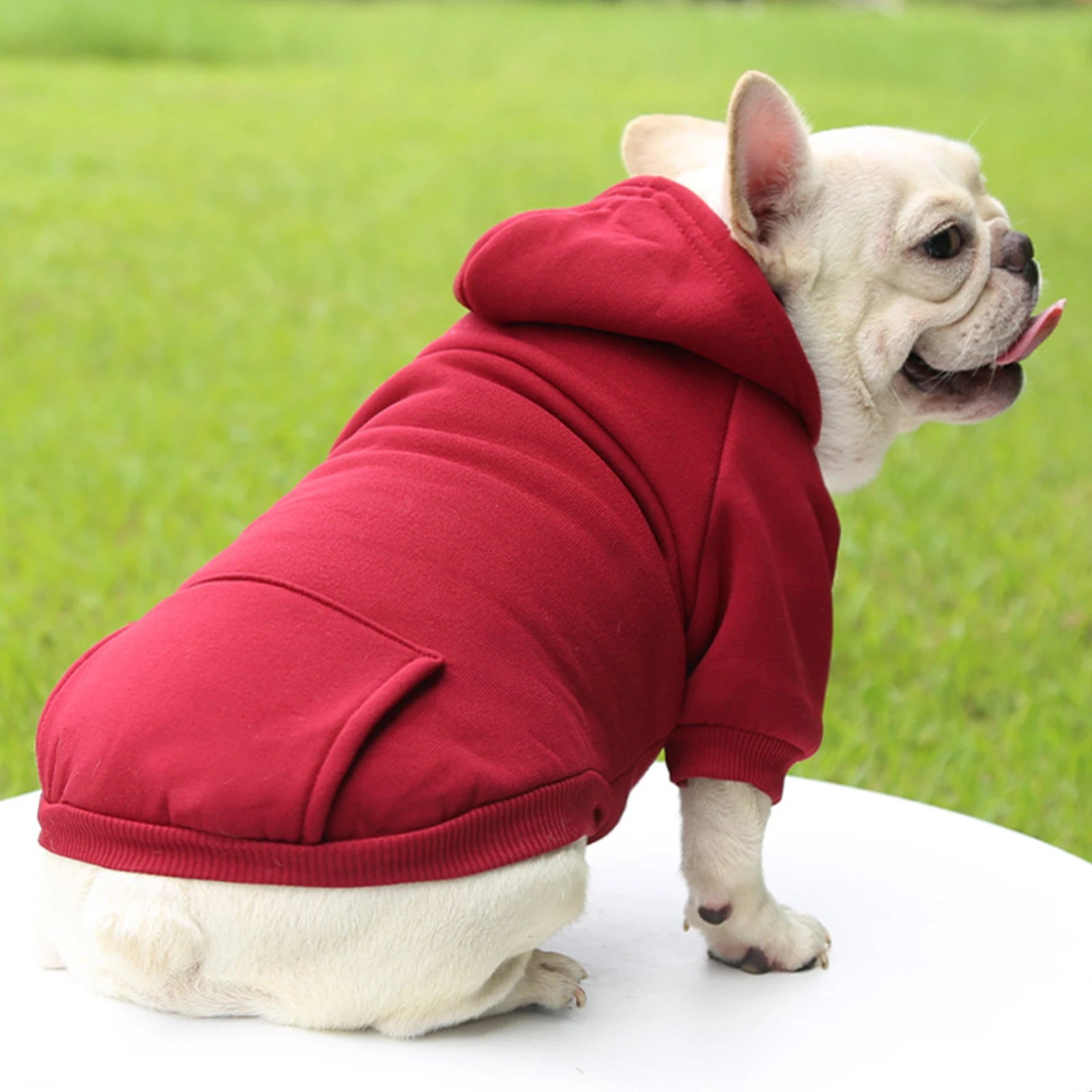 Warm Hooded Pet Sweater