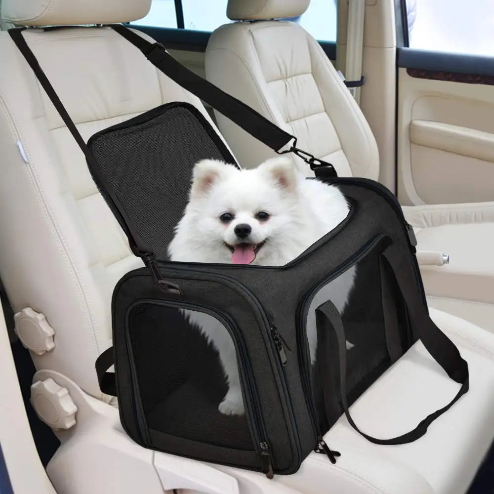 Airline Approved Soft Side Pet Carrier