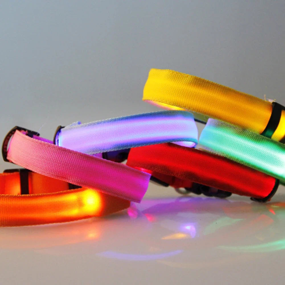 LED Glow Dog Collar — Anti-Lost Night Safety Collar for Small Dogs & Cats