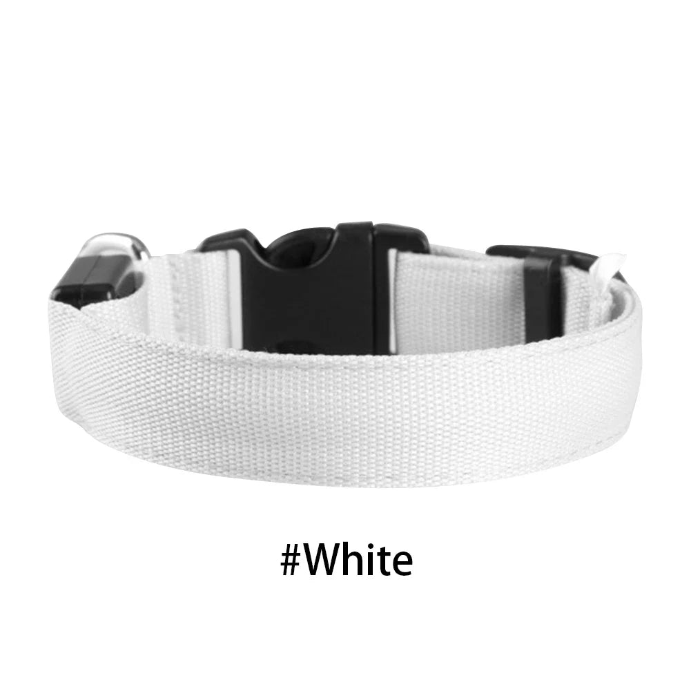 LED Glow Dog Collar — Anti-Lost Night Safety Collar for Small Dogs & Cats
