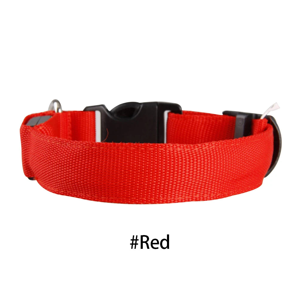 LED Glow Dog Collar — Anti-Lost Night Safety Collar for Small Dogs & Cats