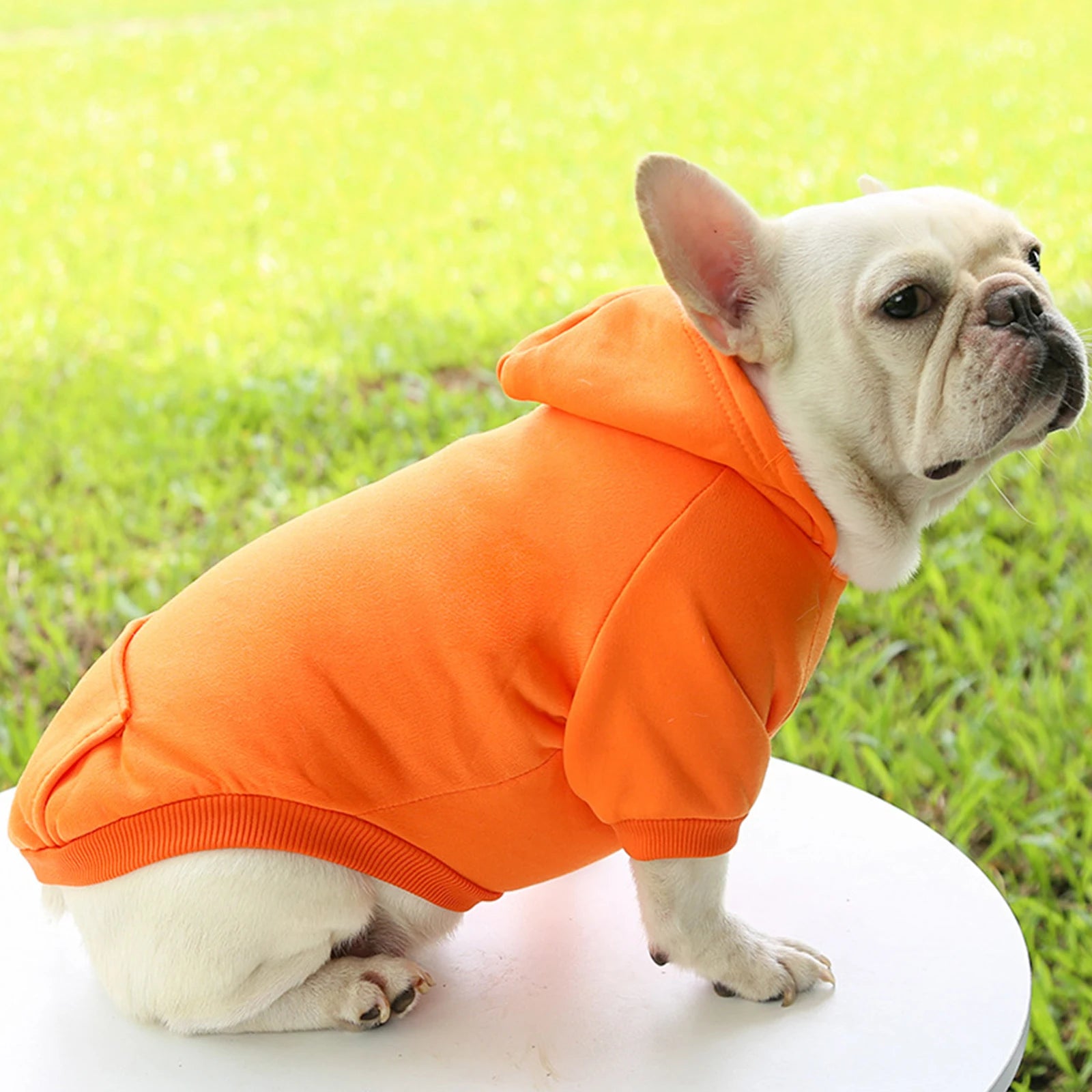 Warm Hooded Pet Sweater