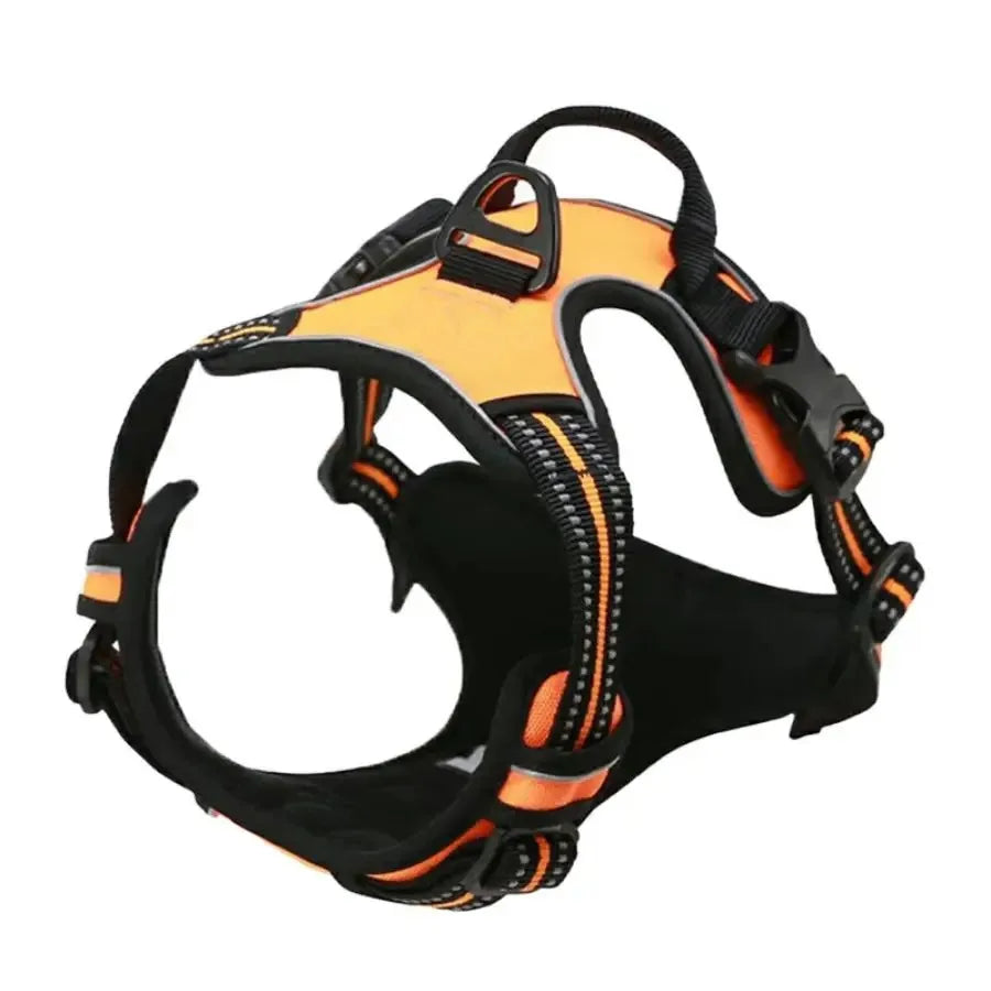 Dog Harness & Leash Set — Leather Vest for Small & Medium Dogs