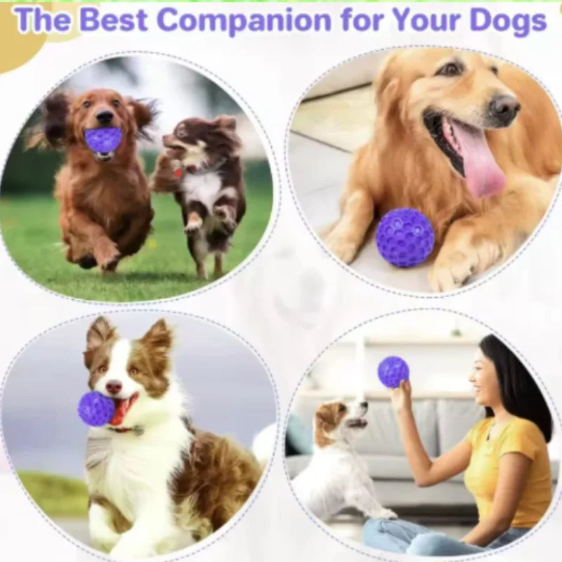 Bite-Resistant Honeycomb Dog Toy Ball — Natural Rubber Teething & Teeth Cleaning