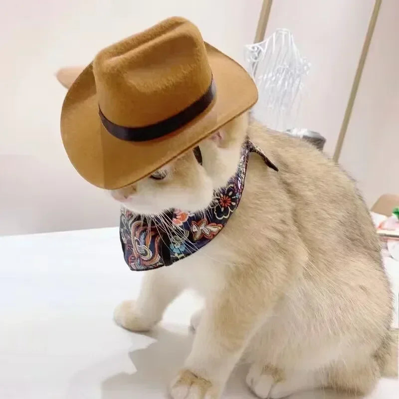Western Cowboy Pet Hat