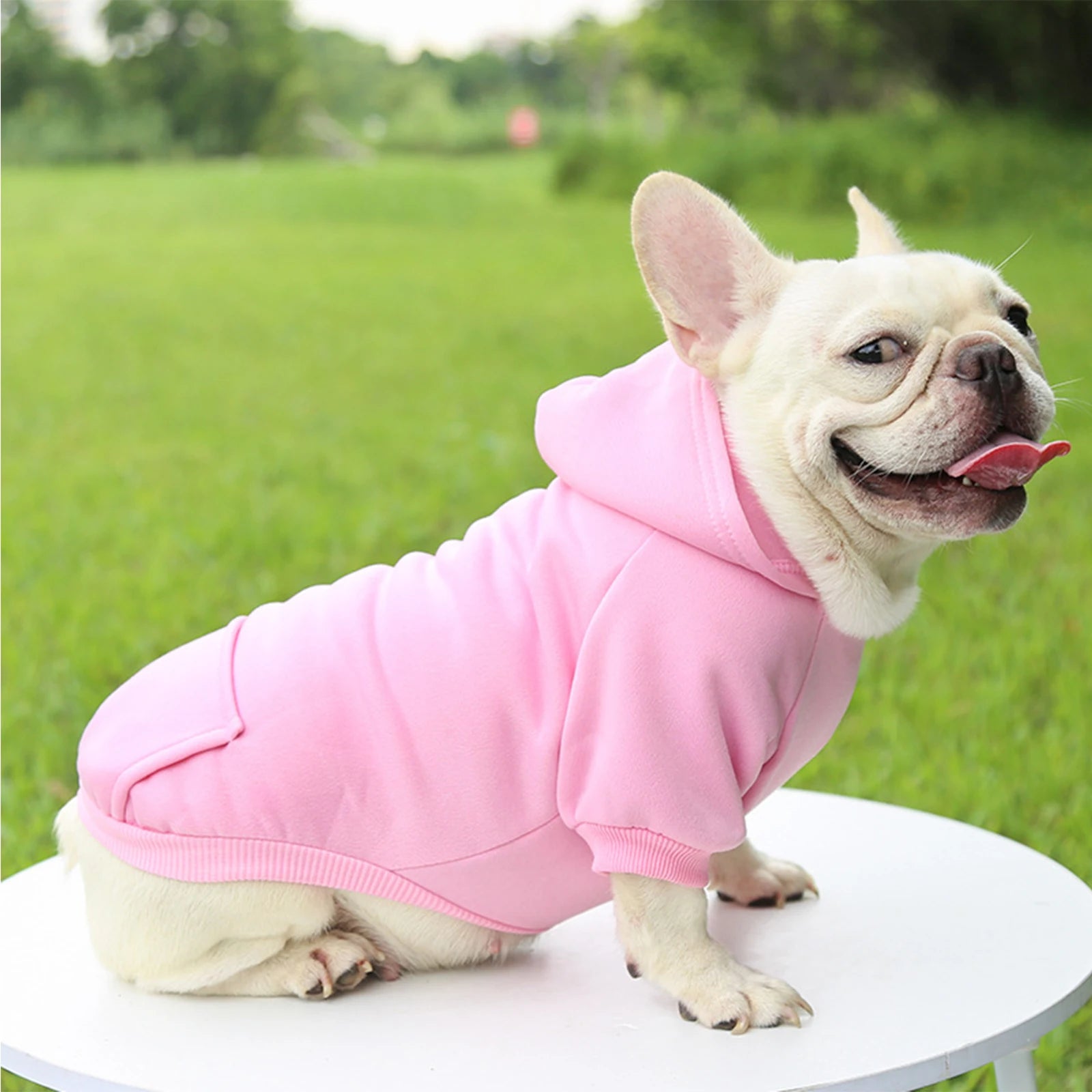 Warm Hooded Pet Sweater