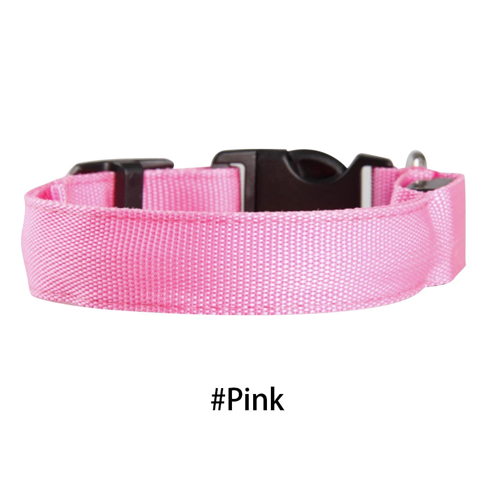 LED Glow Dog Collar — Anti-Lost Night Safety Collar for Small Dogs & Cats