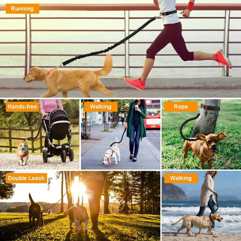 Hands-Free Dog Leash — Retractable Elastic Waist Belt for Running & Walking