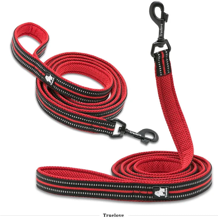 Reflective Dog Leash — Nylon Webbing with Zinc Alloy Hook for Small & Large Dogs